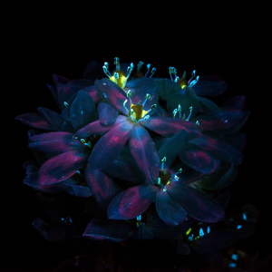 宋雨琦白鹿被艹爽漏乳
